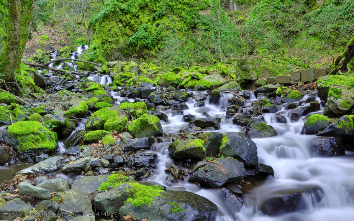 小溪 石间小溪 石头 苔藓 湿土 大自然风景 自然风光 国外风景 国外旅游 旅游摄影