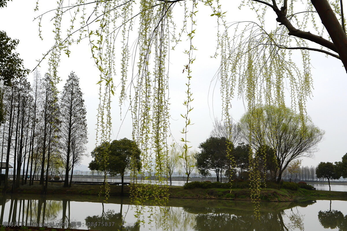无锡 鼋头渚 风景