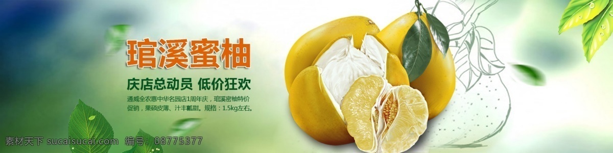 柚子 柚子广告图 banner 柚子首页图 官溪蜜柚 水果 清爽 淘宝界面设计 淘宝装修模板