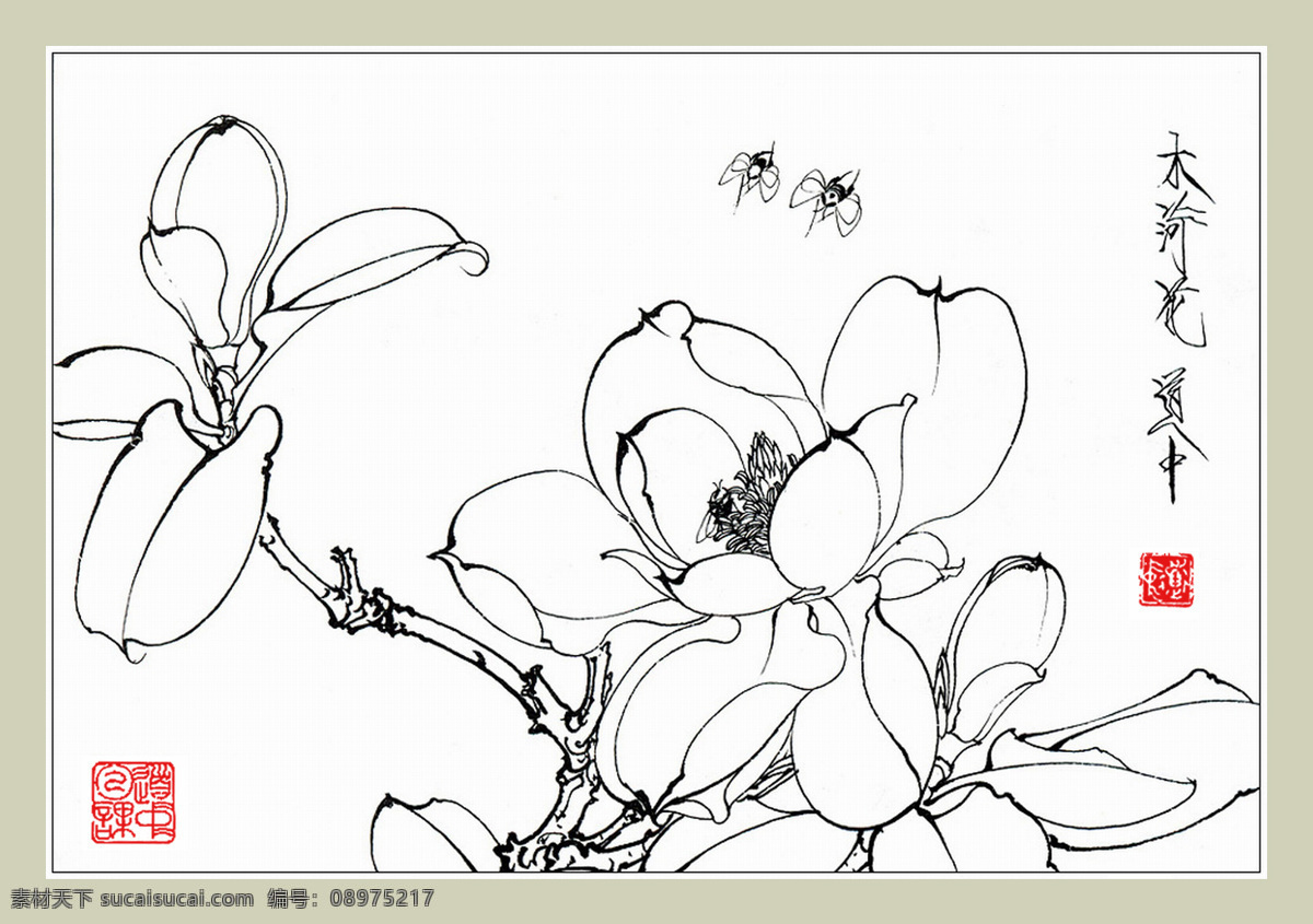 木荷花和蜜蜂 王道中 国画 白描 花卉 木荷花 广玉兰 蜜蜂 昆虫 印章 白描花卉图谱 文化艺术 绘画书法