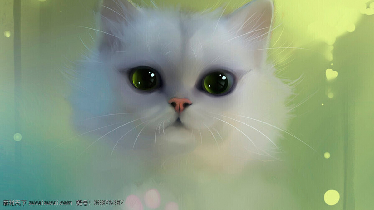 可爱 猫 卡通猫 小猫 萌表情猫 猫的卡通图片 卡通 动漫
