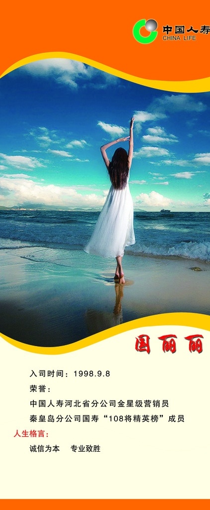 照片海报 橘色展架 人寿展架 带照片 简介 黄色海报 分层