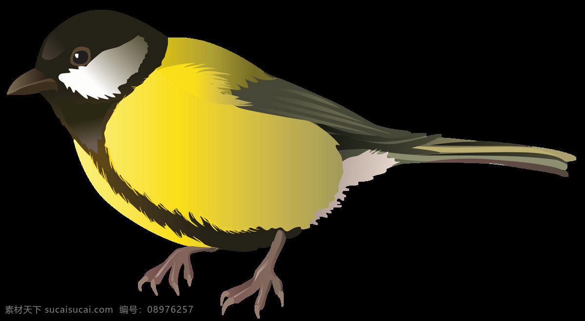 可爱 黄色 圆滚滚 小鸟 装饰 元素 动物 黄色小鸟 装饰元素