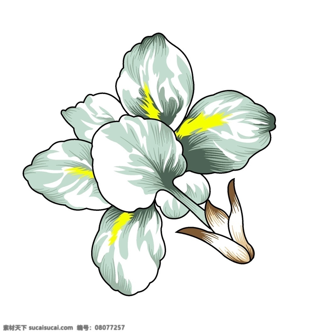 手绘花卉 手绘小花 高清花卉 印花素材 服装图案素材 家纺图案素材 花卉