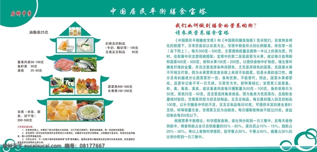 营养改善计划 营养 改善 计划 展板 中学生 蛋奶 油脂 畜禽 肉类 蔬菜 谷物 膳食宝塔 展板模板 广告设计模板 源文件