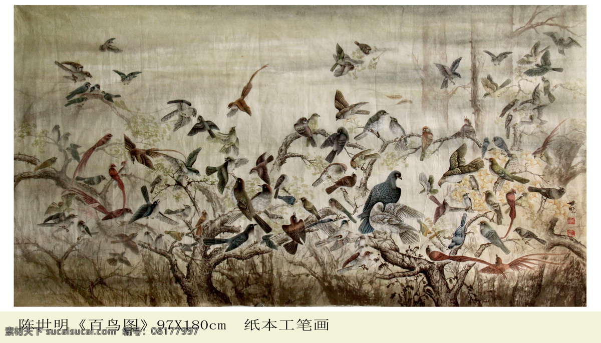 百鸟图 中国画 工笔画 彩绘小鸟图 手绘作品 工笔花鸟 花鸟 国画鸟类 重彩画 装饰画 设设图 中国 四川 荣县 花鸟画家 陈 世 明新 工笔 花鸟画 绘画书法 文化艺术