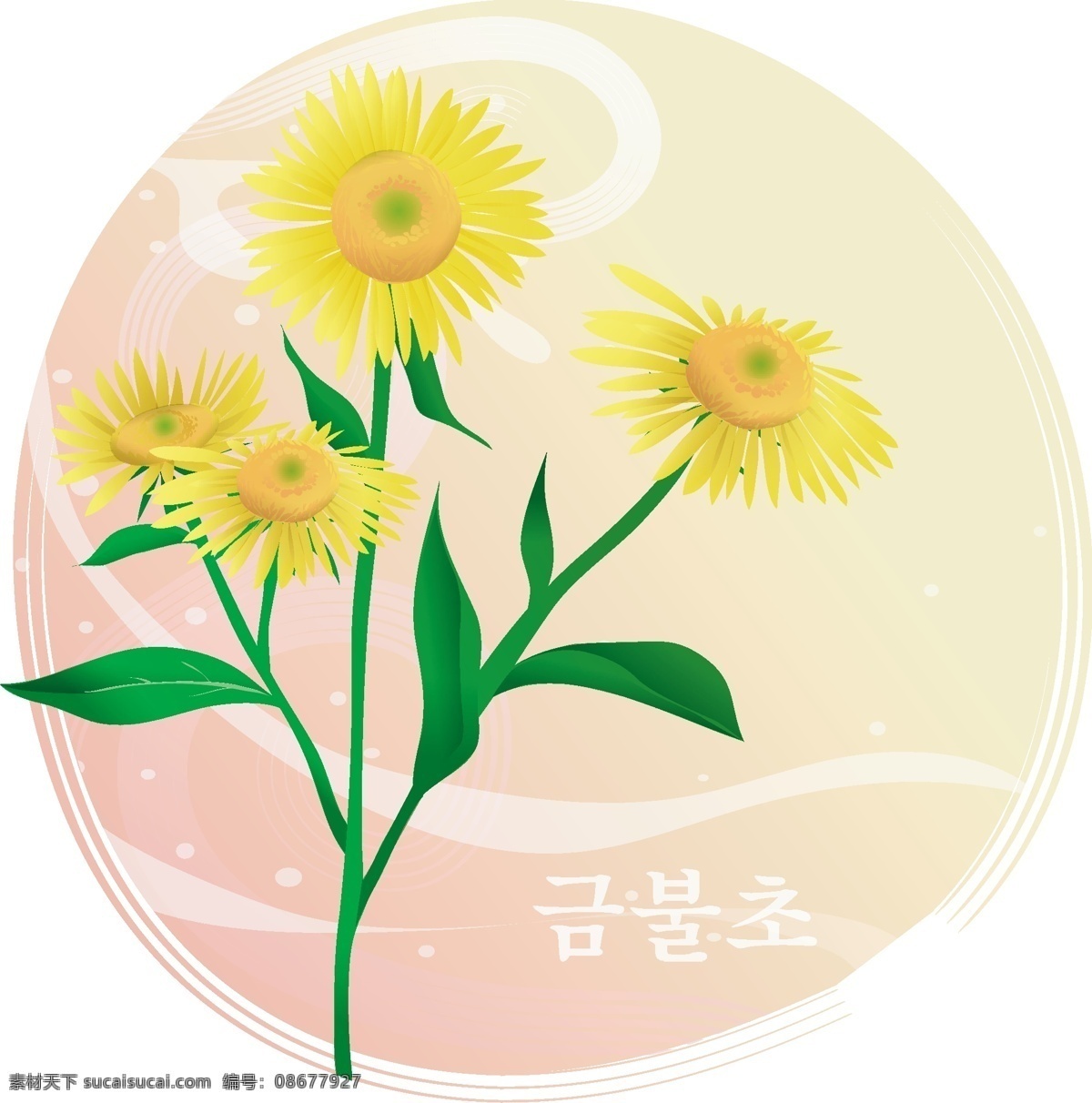 花草免费下载 韩国矢量图 花草 美丽的花 矢量图 国与花失量图 花纹 花边 矢量 底纹 边框 花纹花边