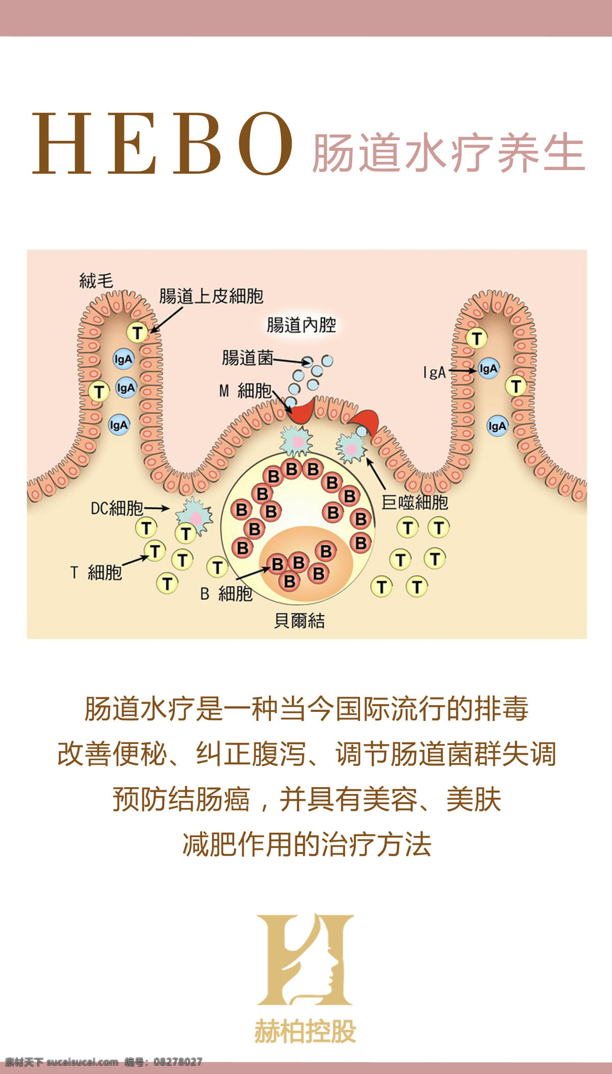 肠道养生 肠道 养生 标志 艺术字 微生物