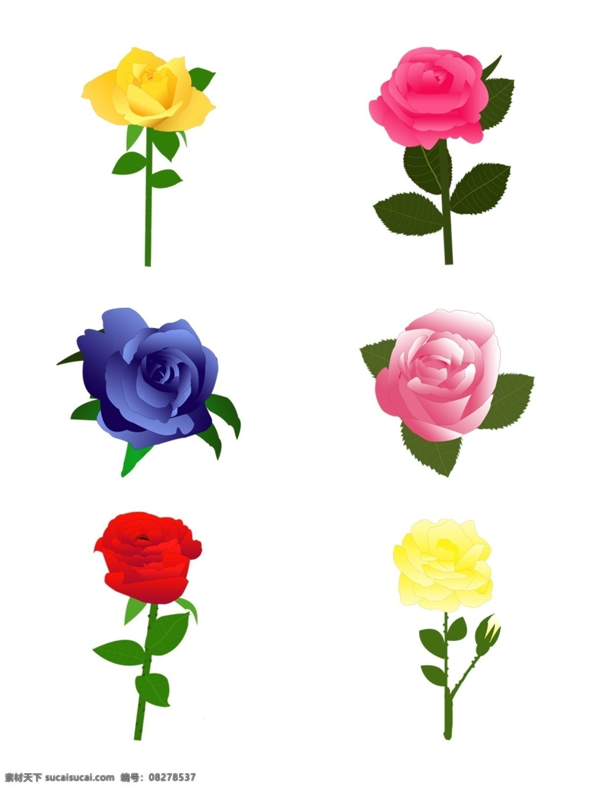 玫瑰 花朵 花枝 香槟 红玫瑰 蓝色 妖姬 玫瑰花 黄玫瑰 蓝色妖姬 粉玫瑰 玫瑰花枝 香槟玫瑰 蓝色玫瑰
