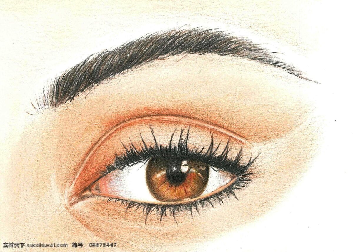 彩铅眼睛 彩铅 绘画 眼睛 唯美 素描 美女 文化艺术 绘画书法