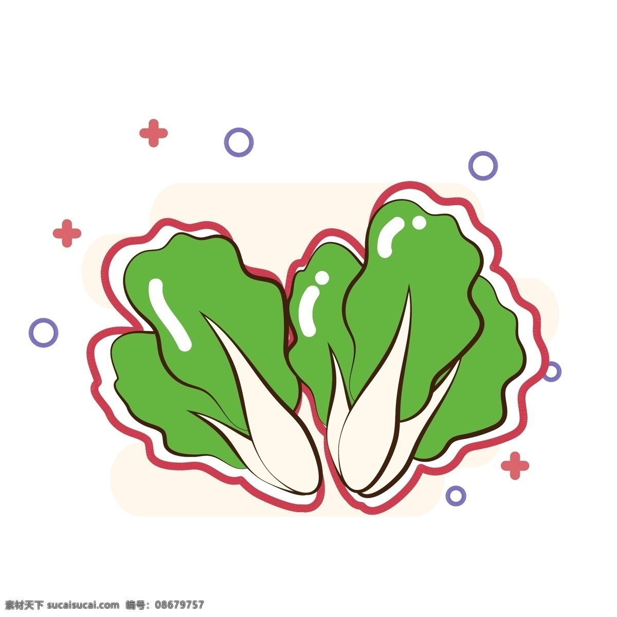 原创 矢量 卡通 白菜 商用 青菜 素食 素菜 蔬菜 食材