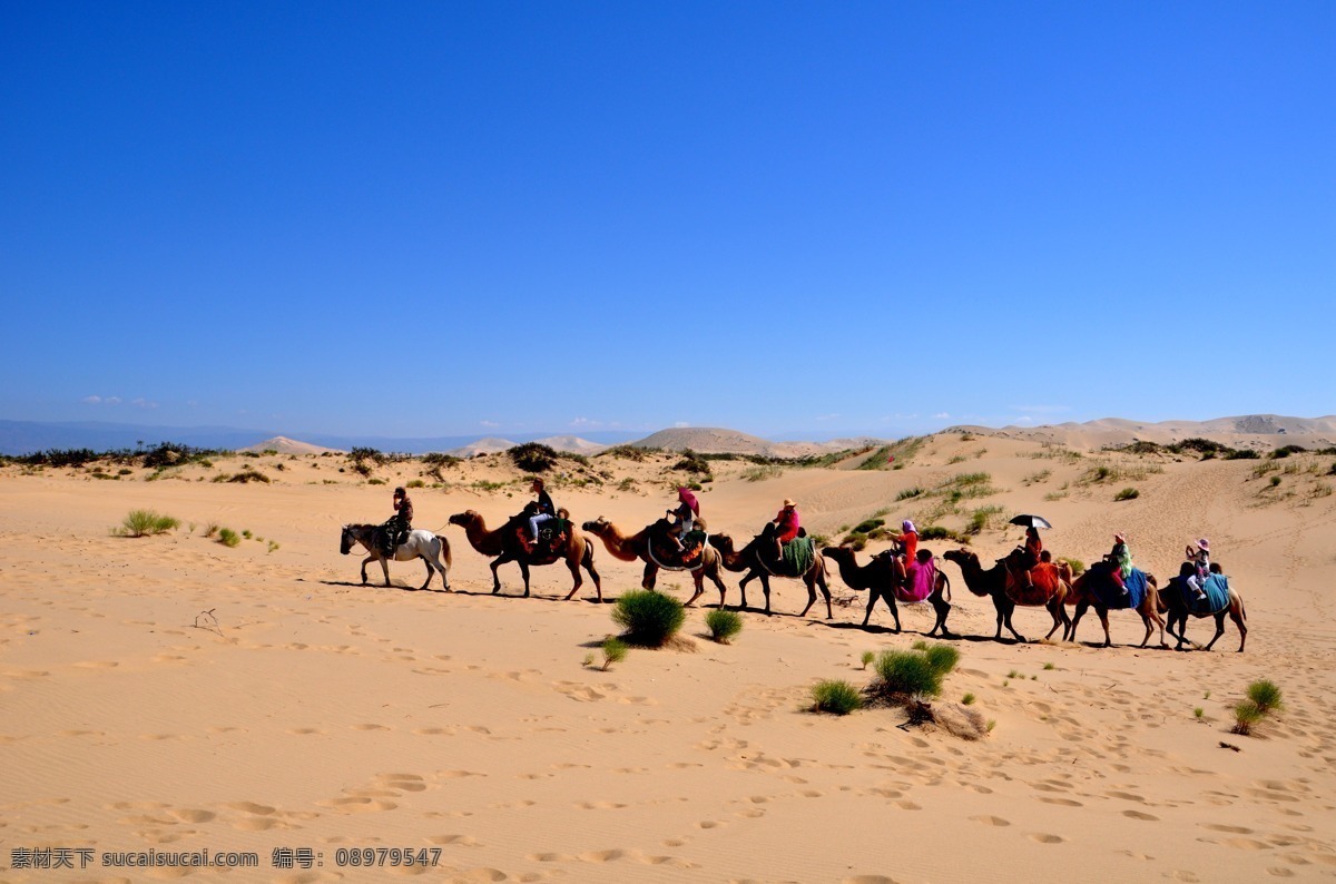 新疆美景 新疆鸣沙山 沙漠驼队 沙漠绿洲 新疆沙漠 旅游摄影 自然风景