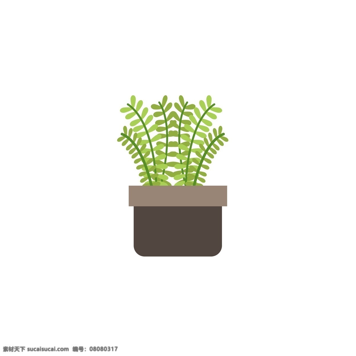 花草 植物 鲜 片 叶子 盆景 花盆 绿色 摆件 欣赏 漂亮