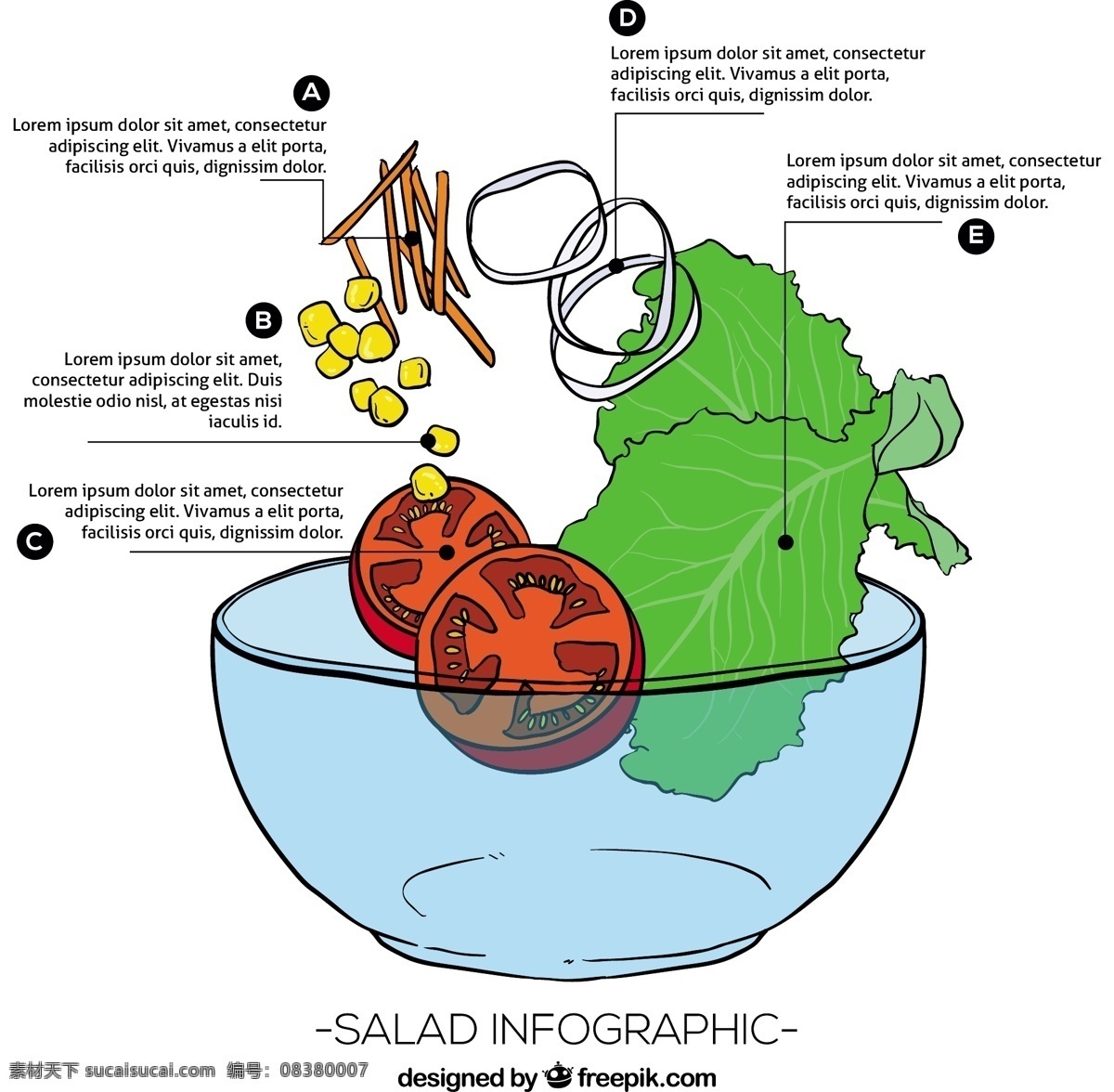 沙拉 健康食品 信息 图表 食品 手 模板 手绘 营销 蔬菜 水果 烹饪 工艺 图纸 图表模板 数据 健康信息 图形 生长