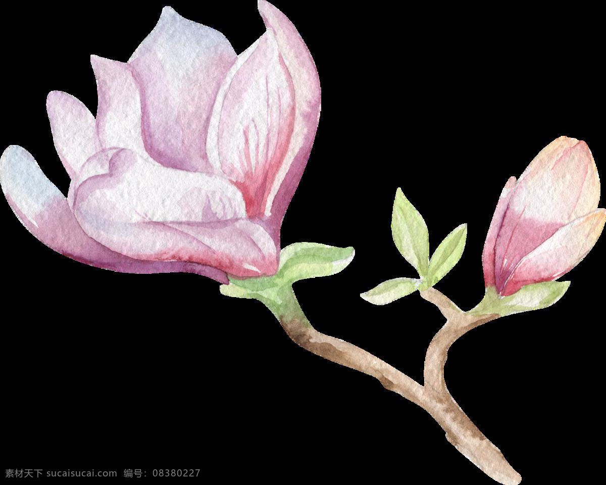 分叉 百合 卡通 透明 花蕊 花束 透明素材 免扣素材 装饰图案