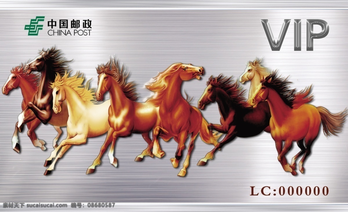 vip 卡 标识 名片 马 名片卡 其他名片
