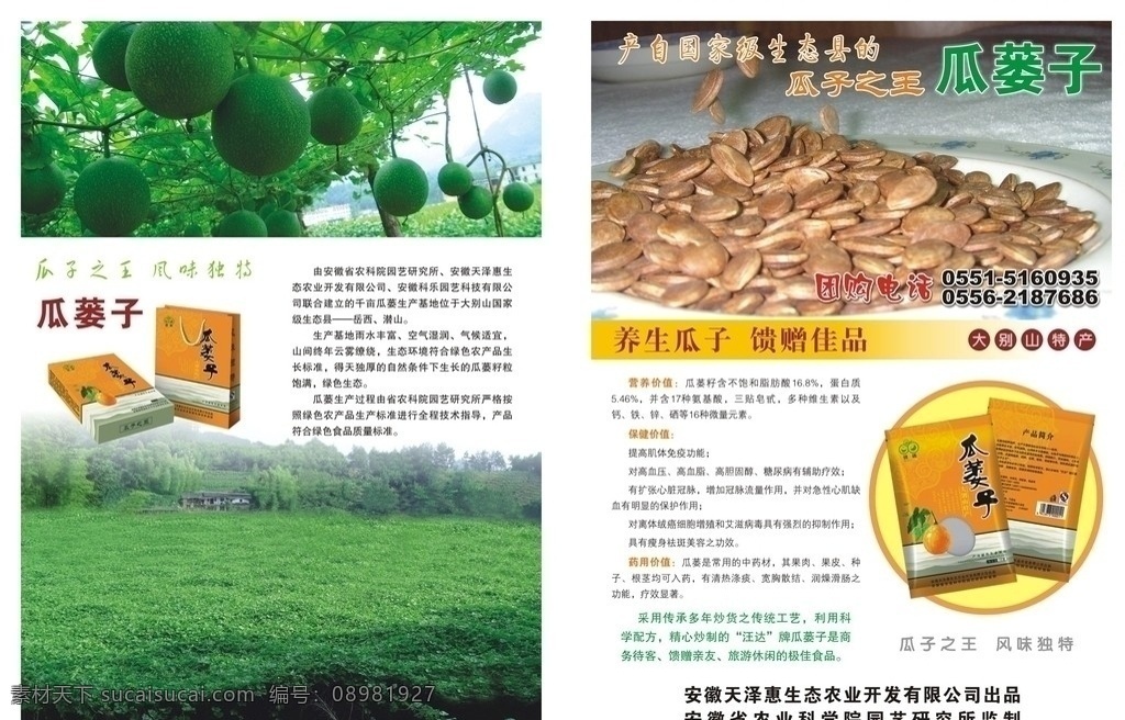 瓜蒌子宣传单 dm广告 养生瓜子 瓜子 单页 瓜蒌 大别山 生态农业 农业开发 园艺所 零食 食品 礼品 产品宣传单 dm宣传单 矢量