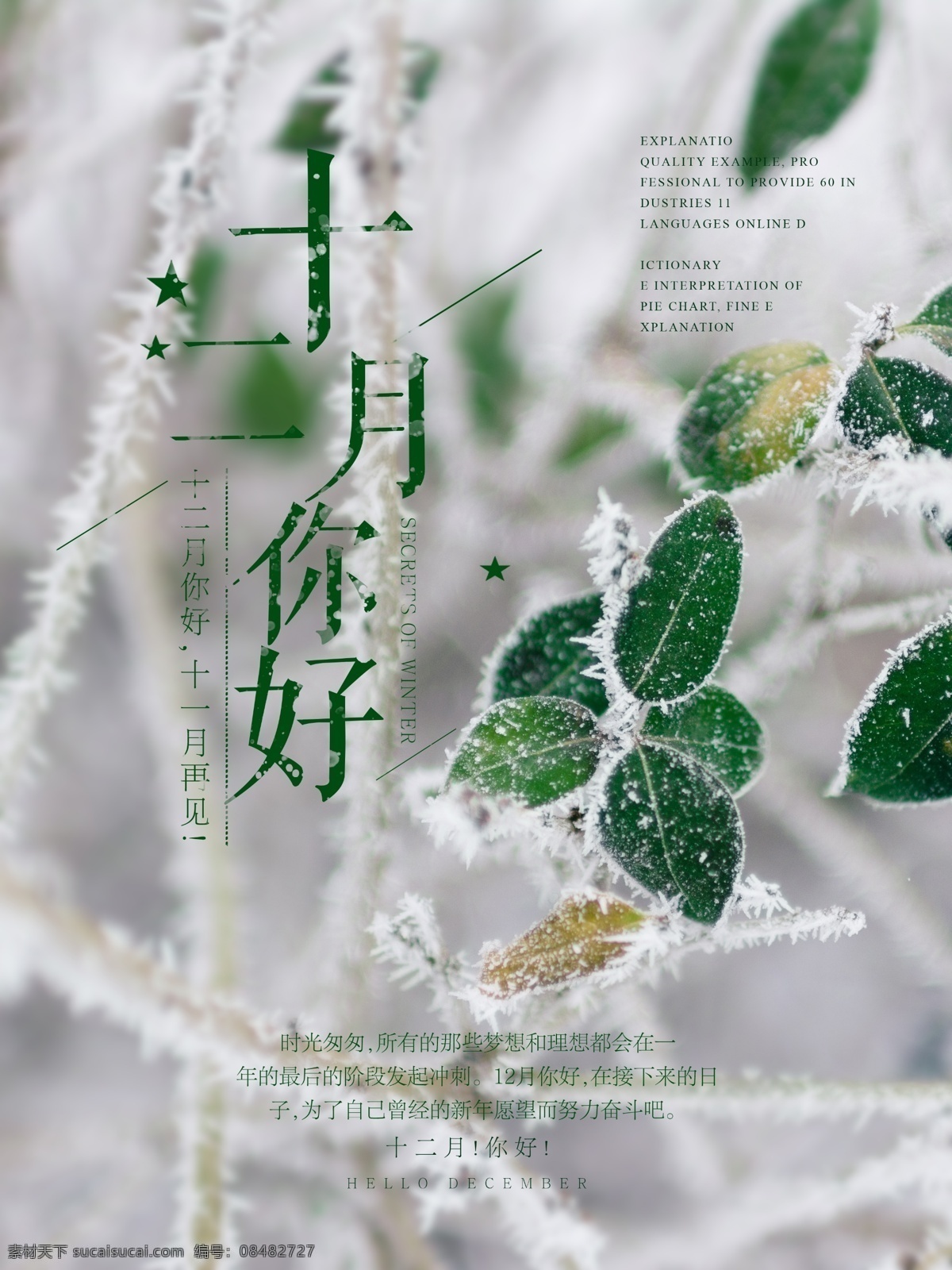 十二月 你好 文艺 小 清新 配 图 海报 源文件 简约 唯美 小清新 四叶草 冬季 你好十二月 十二月你好 你好12月 12月你好 冬天 微博 微信 配图
