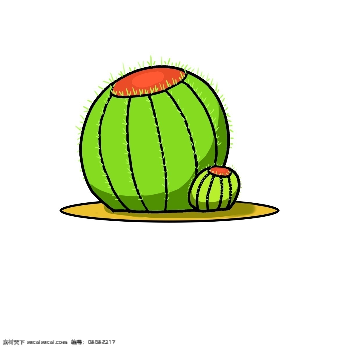 一对 球形 仙人掌 绿色植物 仙人球 免抠仙人掌