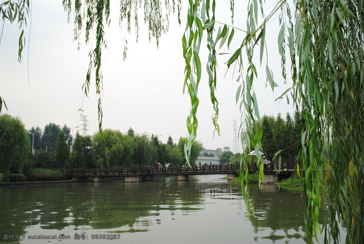 大环河畔美景 大环河 杨柳 九曲桥 自然 风光 自然景观 山水风景