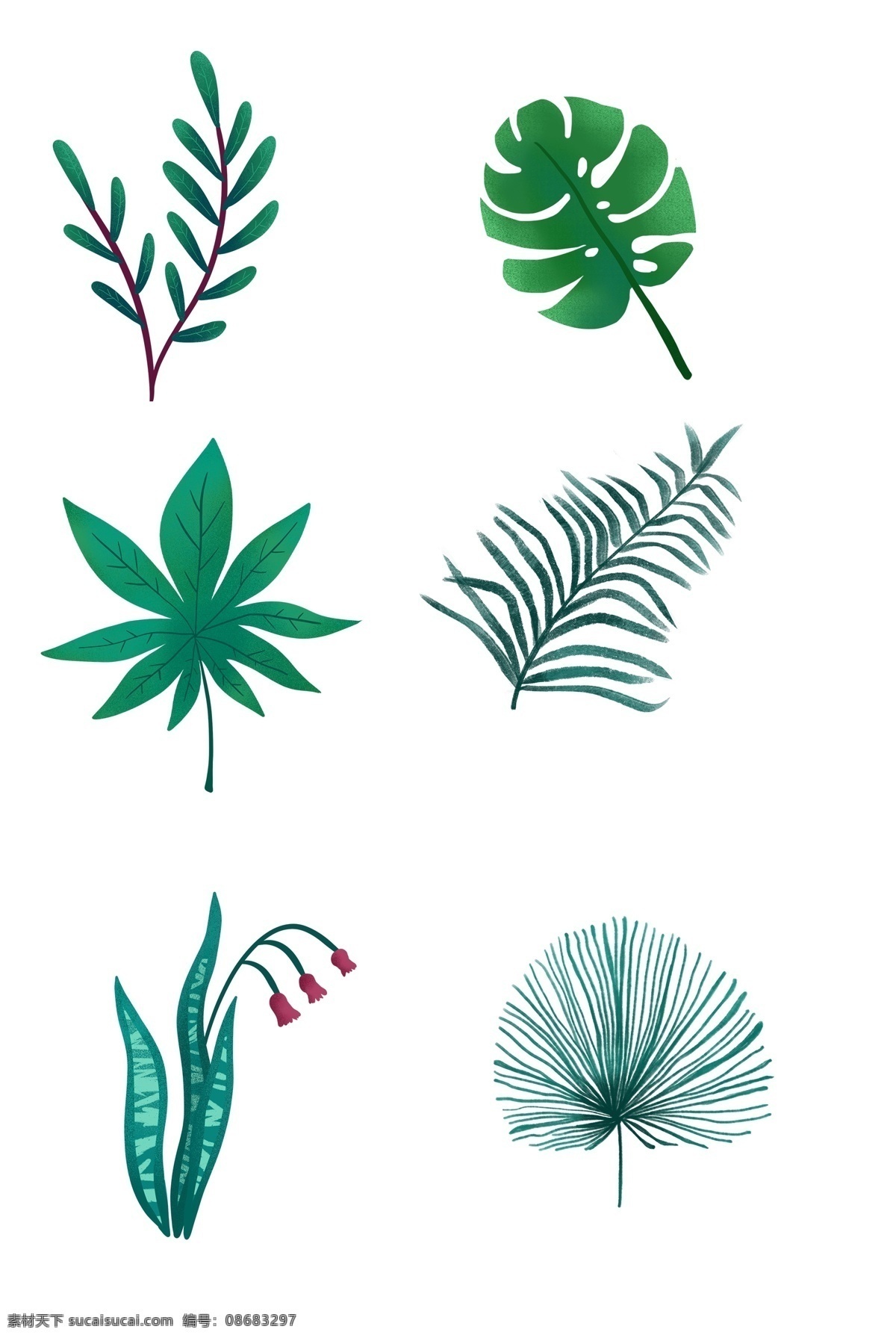 春季 卡通 手绘 多种 绿色 叶子 卡通手绘绿叶 手绘植物 水彩绿叶 生机勃勃 龟背竹叶 树叶 植物 清新