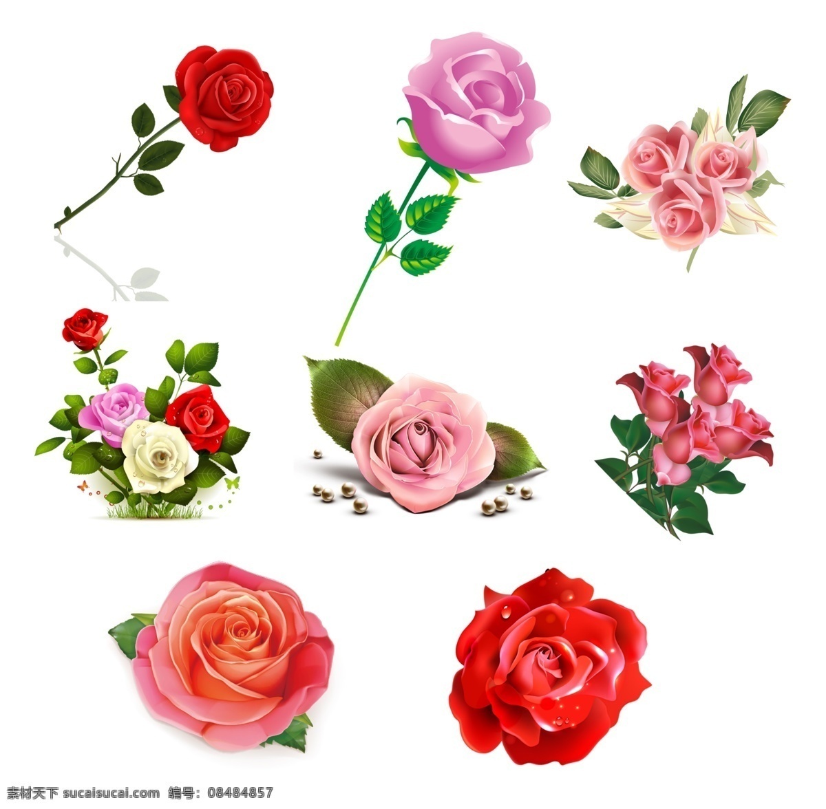 矢量素材 手绘插画 节气手绘 手绘插画素材 插画 海报素材 矢量花朵 花瓣 玫瑰花 康乃馨 牡丹花 月季 花开富贵 茶花 分层 背景素材