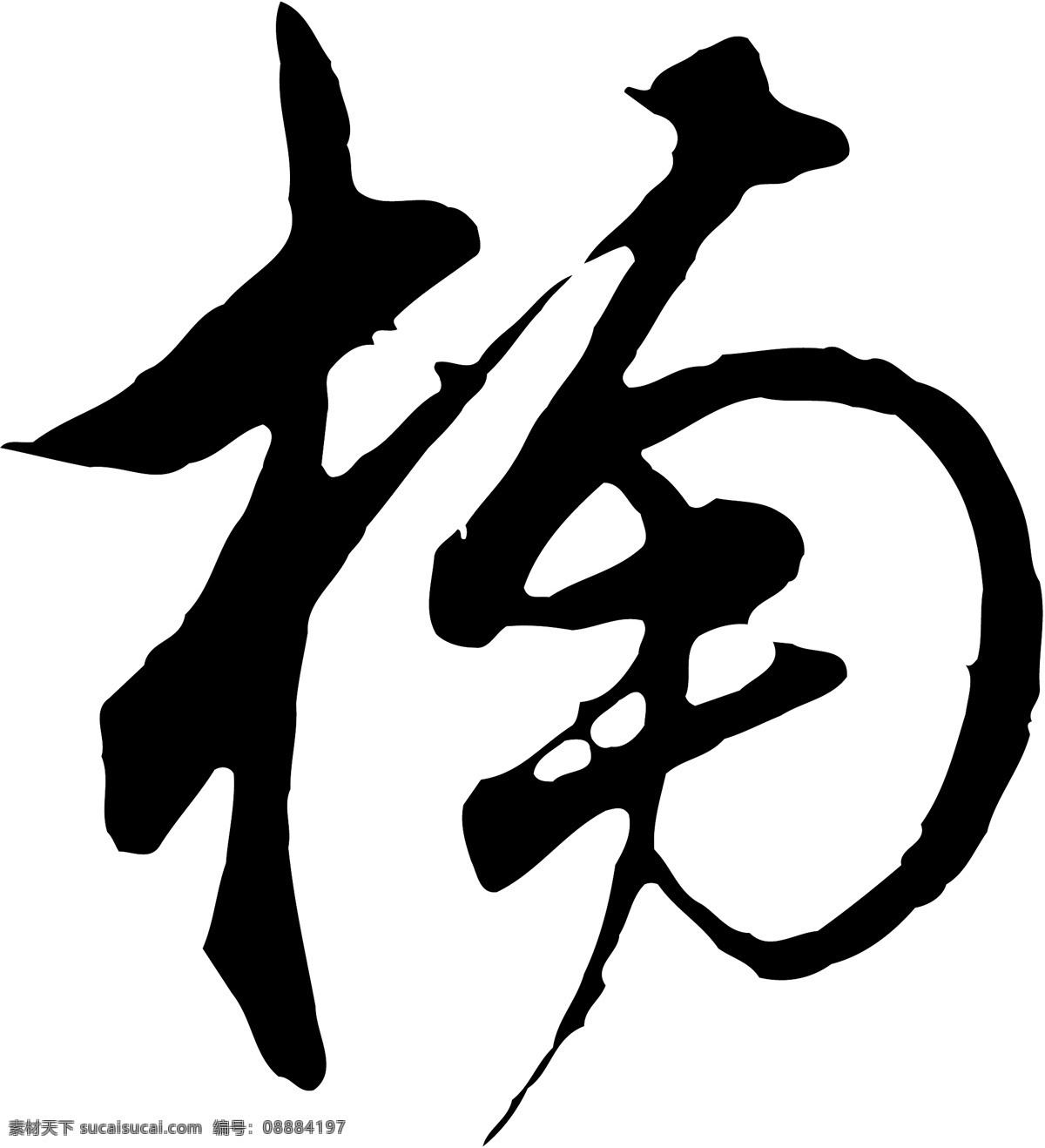 楠