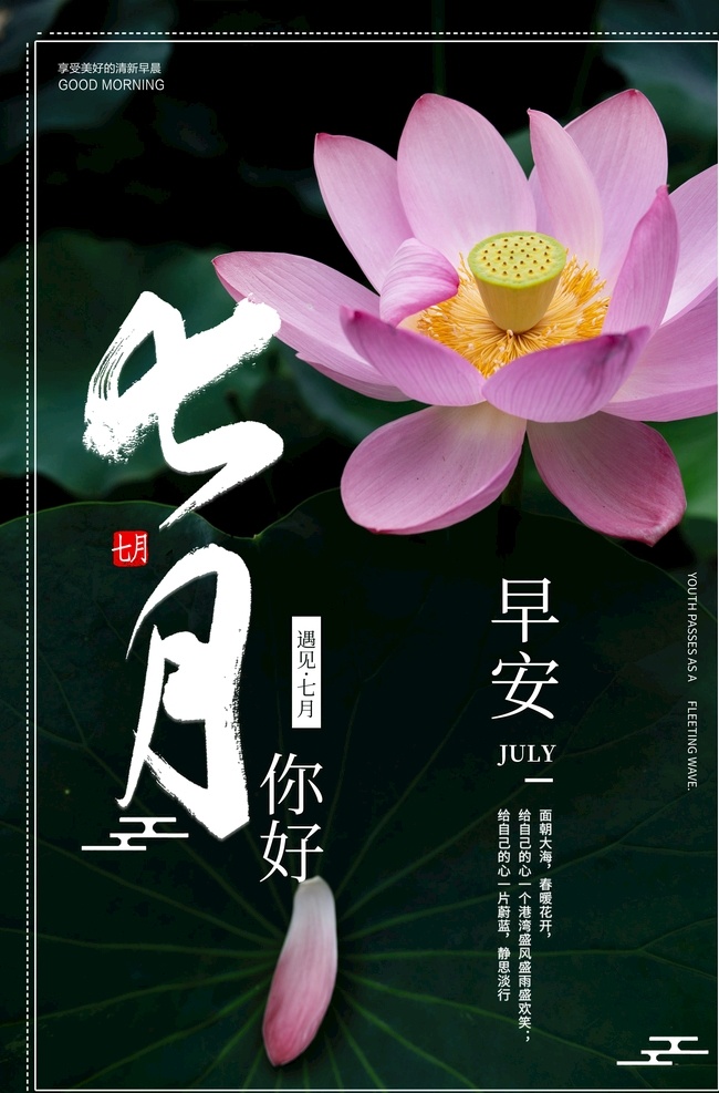 七月你好 你好7月 7月你好 七月 你好 7月 春季上新 春季促销 春夏促销 踏青 踏春 春季 春天 春夏 春季旅游 夏季旅游 春暖花开 小清新 温馨 康乃馨 文艺 花卉 创意 插画 5月旅游