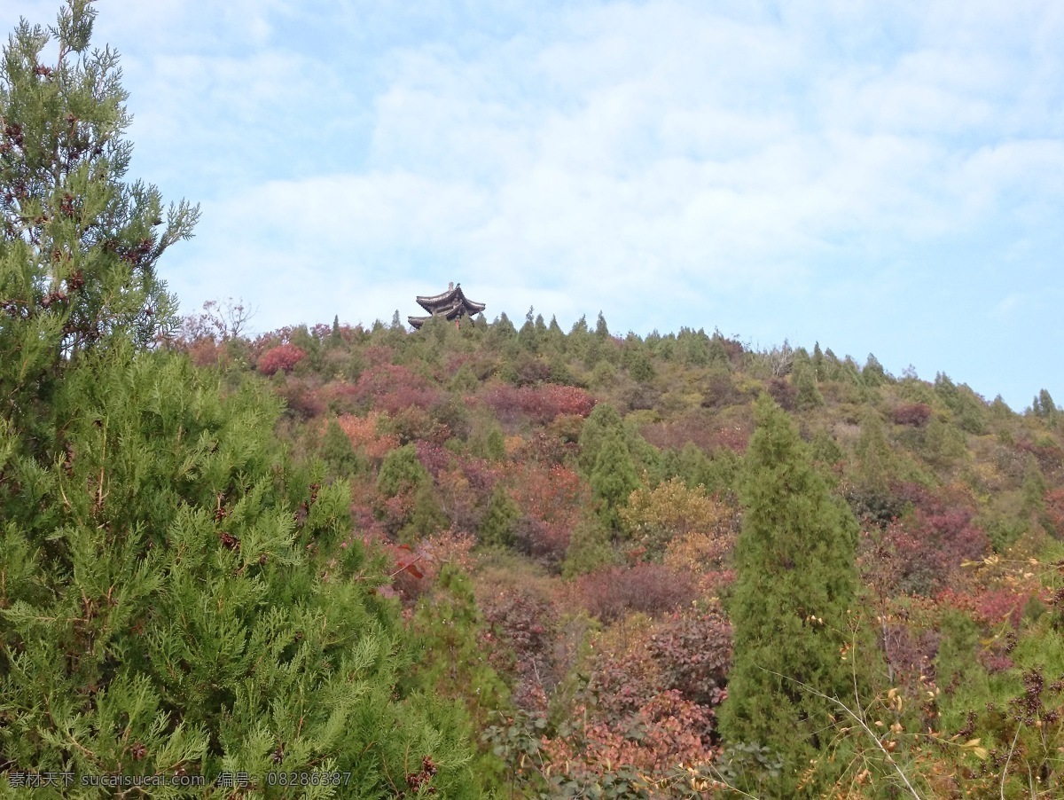 山坡 红叶坡 红叶岭 红螺寺 山岭 出游日记 生物世界 树木树叶