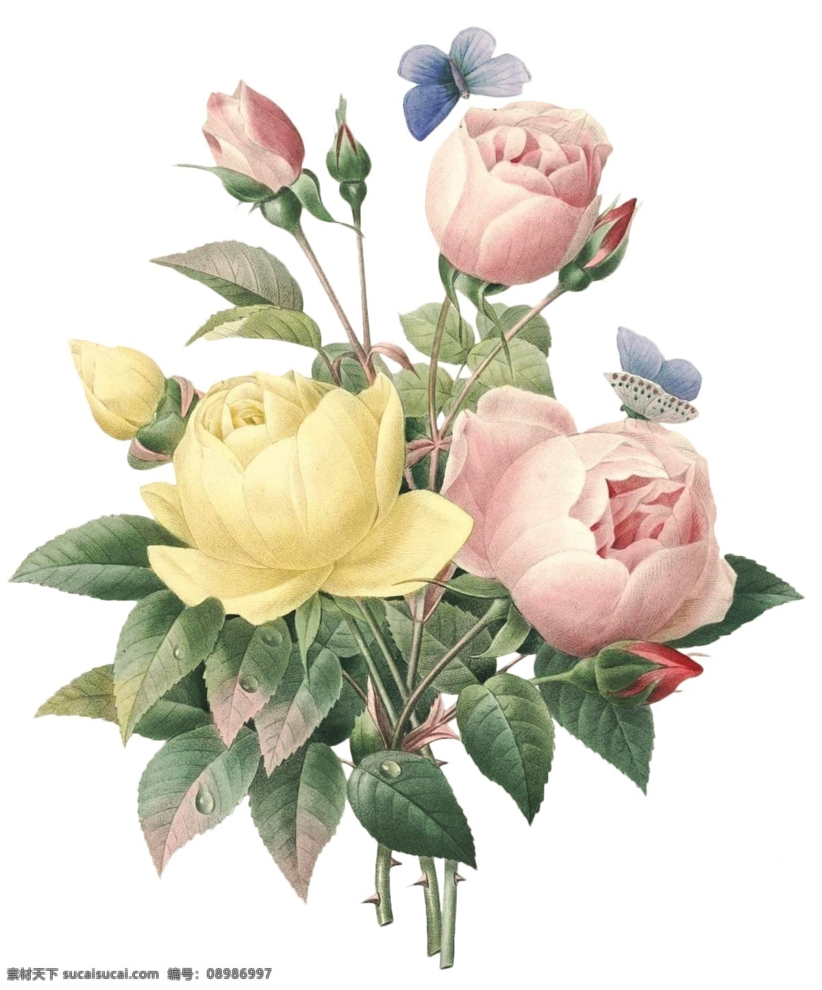 复古花 复古 花卉 彩铅花 手绘花 花 花骨朵 花朵 免抠图 多种花朵 花束 花球 花篮 鲜花 玫瑰 绿叶 免抠