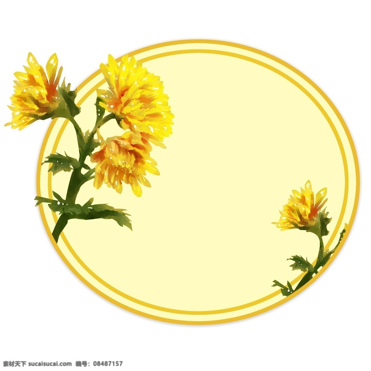 手绘 圆形 菊花 边框 黄色菊花边框 手绘圆形边框 黄色 花朵 插画 边框插图 手绘文本框 植物 框