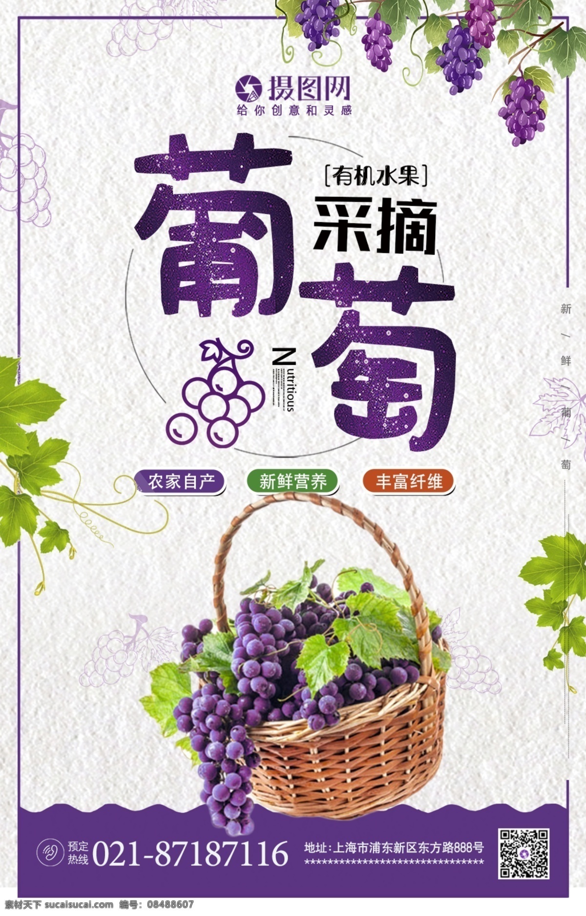 采摘 葡萄 应季 新鲜 有机 水果 促销 海报 新鲜葡萄 提子 新鲜水果 应季水果 大减价 有机水果