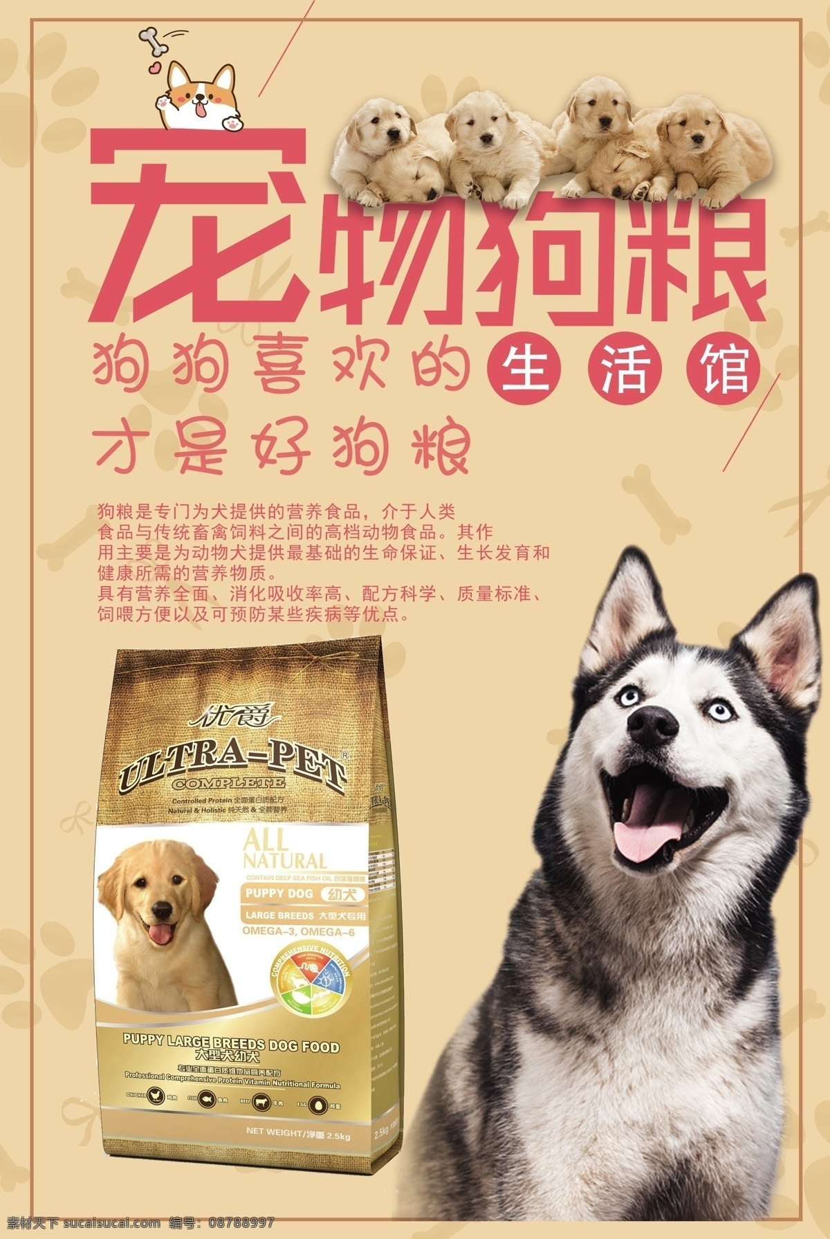 狗粮 宠物食品 包装 狗粮包装 介绍 宠物狗粮促销 狗粮海报设计 狗粮包装设计 狗粮招贴 淘宝狗粮海报 天猫狗粮海报 京东 网站 宠物狗 狗粮海报 宠物狗口粮 宠物店海报 狗粮产品广告 宠物食品宣传 宠物狗喂养 宠物店食品 宠爱有加