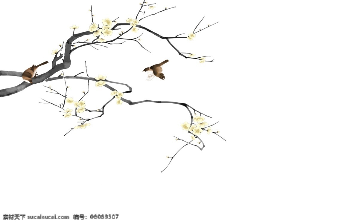 玉兰 背景 手绘 花鸟 工笔画 文化艺术 传统文化