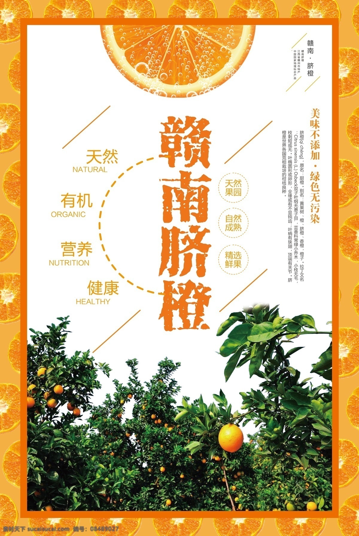 实景 风格 创意 赣南 脐橙 户外 海报 橙子 橙子海报 水果海报 水果展架 赣南脐橙 信丰脐橙 赣南脐橙海报 赣南脐橙宣传 赣南脐橙展板 橙子展架 橘子采摘 橘子展架 新鲜橙子 橙子包装 橙子广告 橙子种植