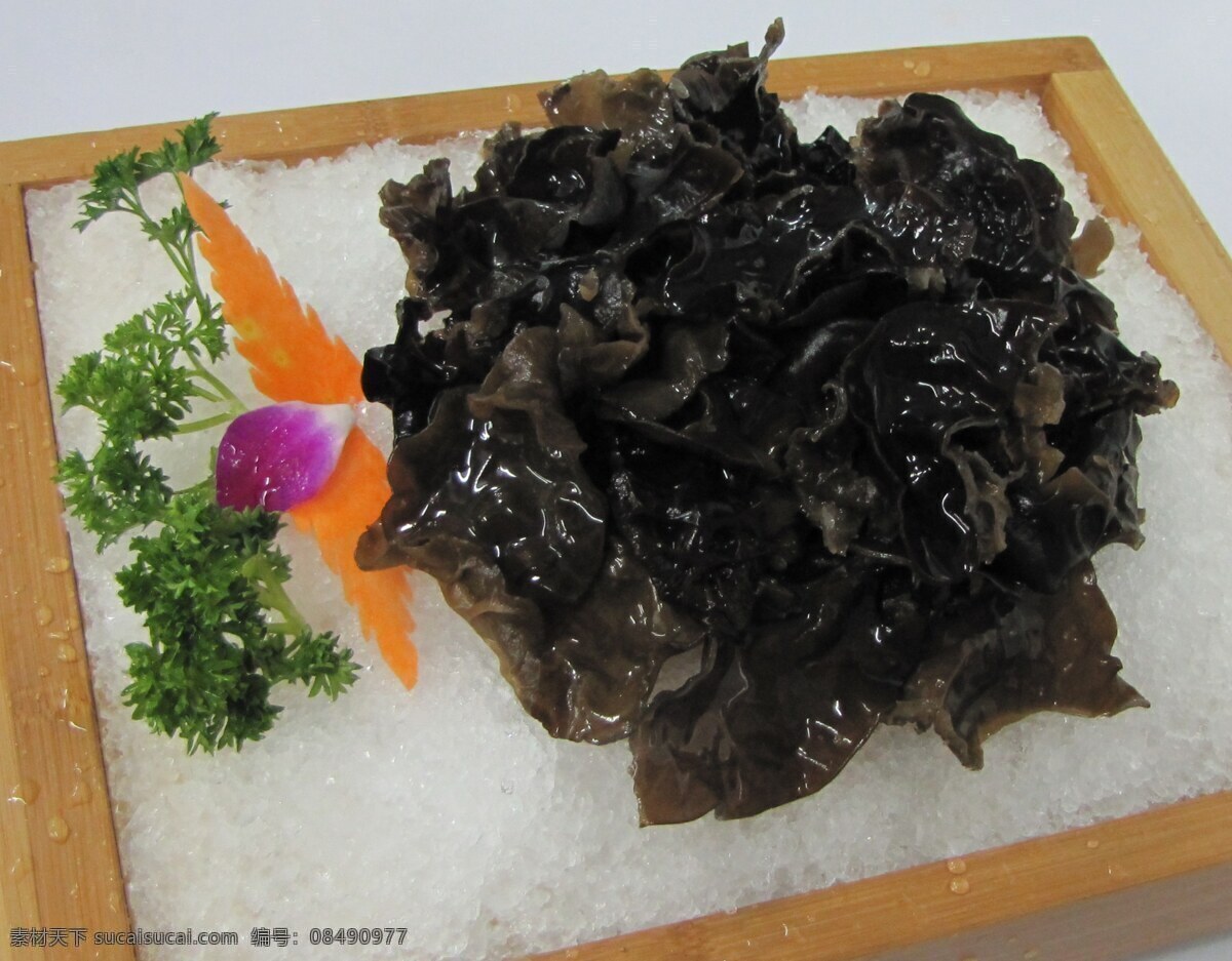 木耳 菜品 火锅 姿造 海鲜姿造 菜牌图片 菜谱图片 菜图 凉菜 美食 中餐 中华美食 传统菜肴 蔬菜 开胃菜 川菜 鲁菜 粤菜 碟头 津菜 湘菜 杭帮菜 热菜 面点 海鲜 刺身 苏闽菜 辽菜 创意菜 小料 调料 酱料 家常菜 农家菜 食堂菜 餐饮美食 传统美食