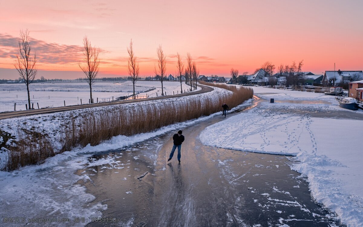 大树 大自然 冬天 海边 海滩 树林 树木 雪景 雪花 雪 下雪 自然景观 自然 自然风景 psd源文件