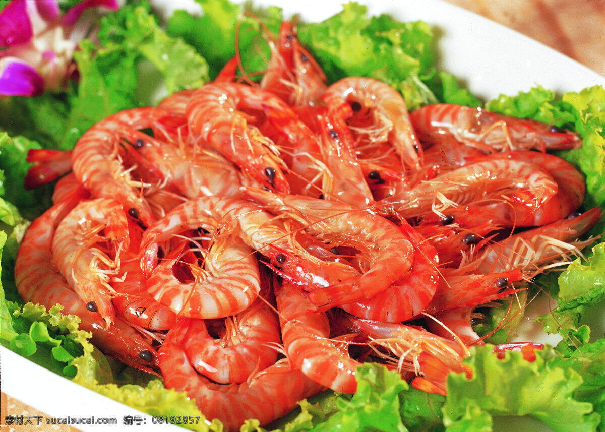 白灼基围虾 中式菜谱 菜单 美食图片 凉菜 东北菜 菠菜花生米 鲁菜 京菜 菜谱 家常菜 酒店菜谱 传统美食 中式美食 川菜 粤菜 美食图谱 餐饮美食 中国菜