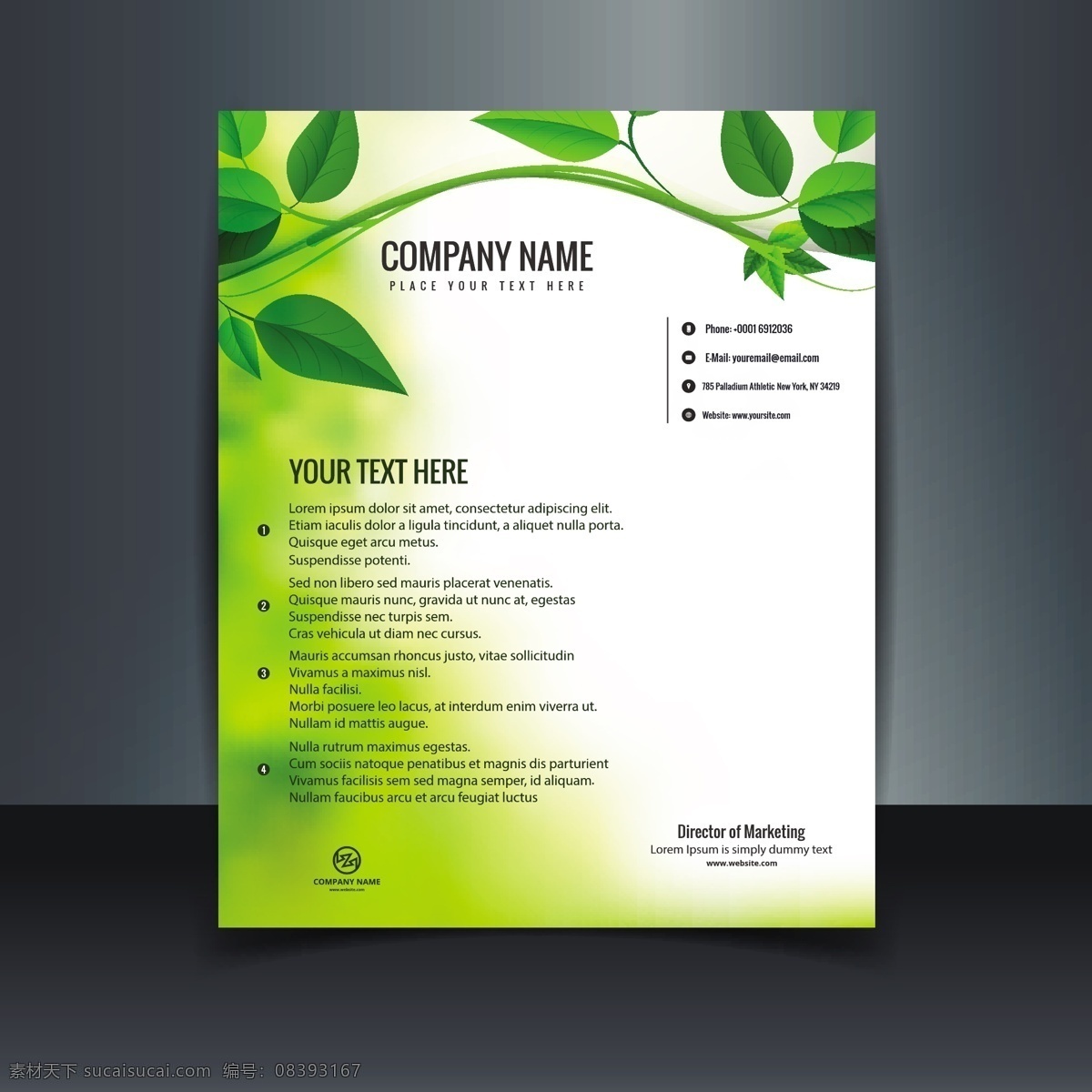 绿色生态 信笺 小册子 业务 广告传单 抽象的 绿色的 模板 叶 盖 生态 信 公司 品牌 传单 文具 白色