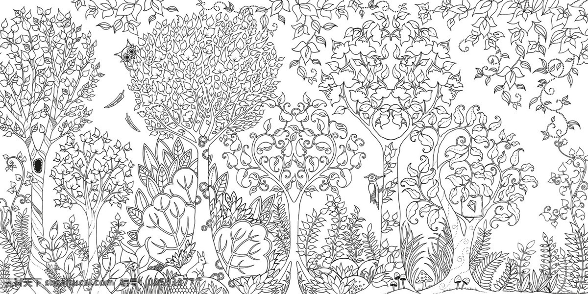 秘密花园 填色卡树林 森林 鸟 花草 简笔画 小学生 绘画 文化艺术 绘画书法 填色