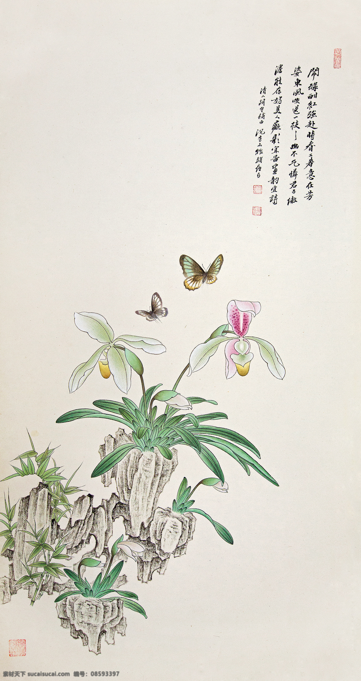工笔花卉 赵夜白作品 静物鲜花 白色蝴蝶兰 蝴蝶 彩粉 中国古代画 中国古画 文化艺术 绘画书法