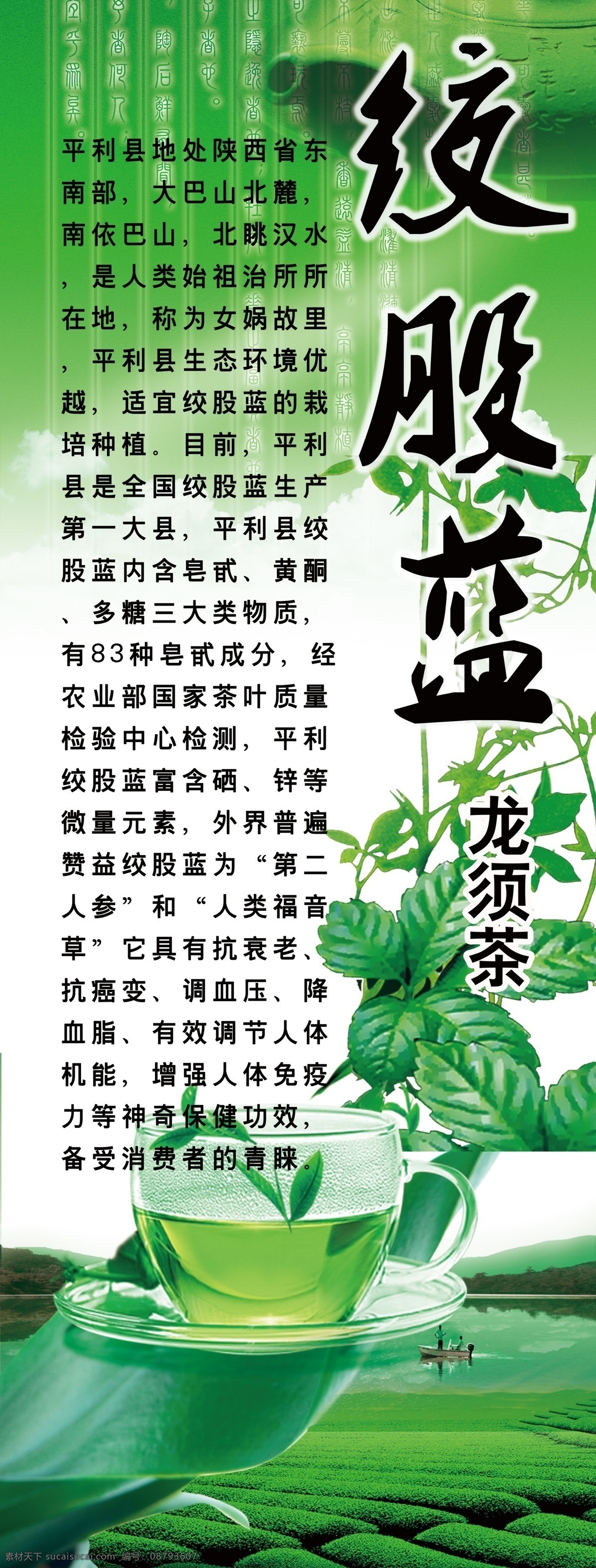 绞股蓝茶叶 绞股蓝 茶叶 x展架 海报 养生 招贴设计