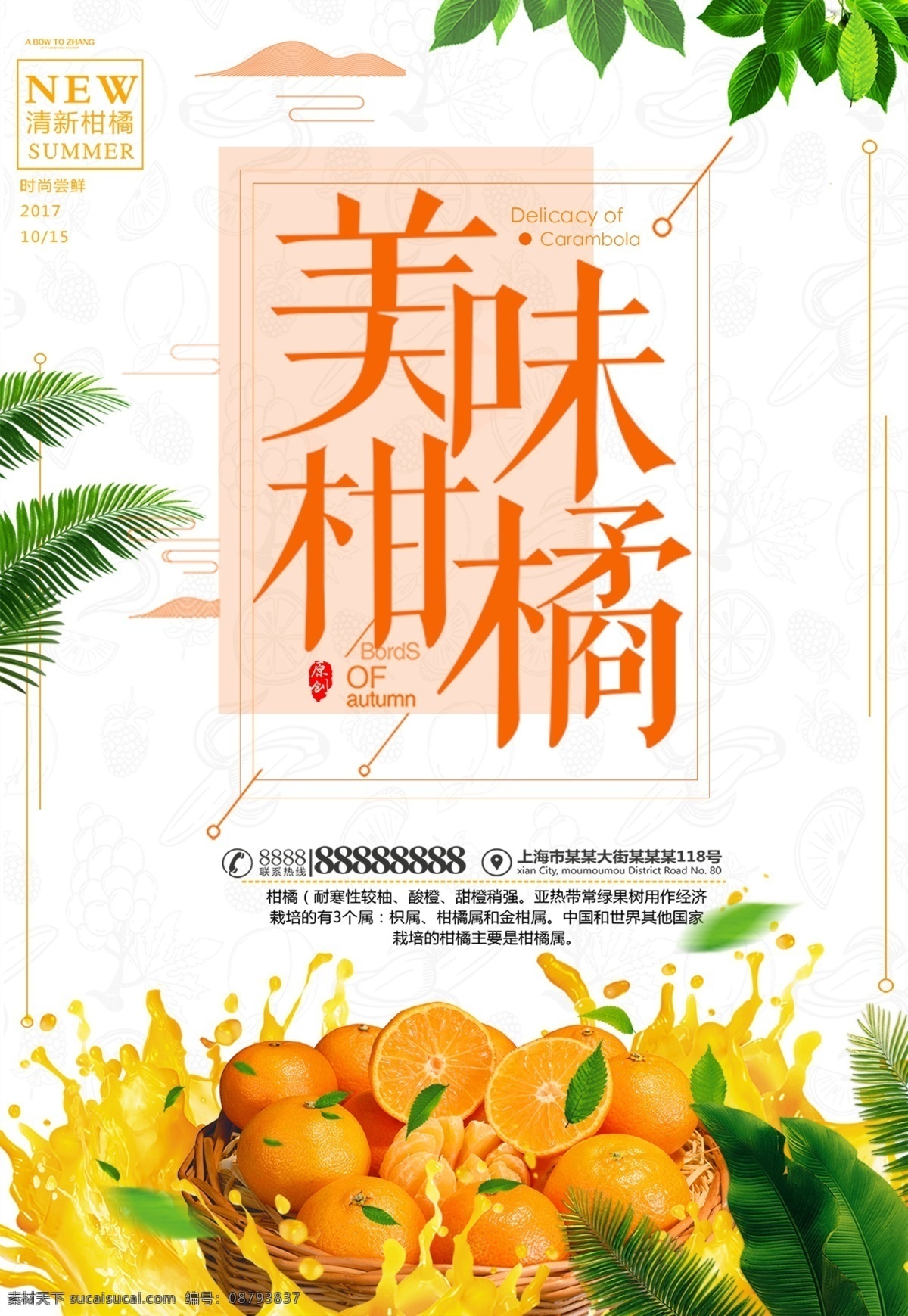 时尚 大气 柑橘 商场促销 海报 橙子 橘子 新鲜 超市 简约 脐橙 柑橘海报 橙子海报 水果展架 橘子采摘 橘子海报 新鲜橙子 橙子包装 橙子广告 橙子种植 橘子基地 水果 水果展板 水果店 水果超市 大气时尚