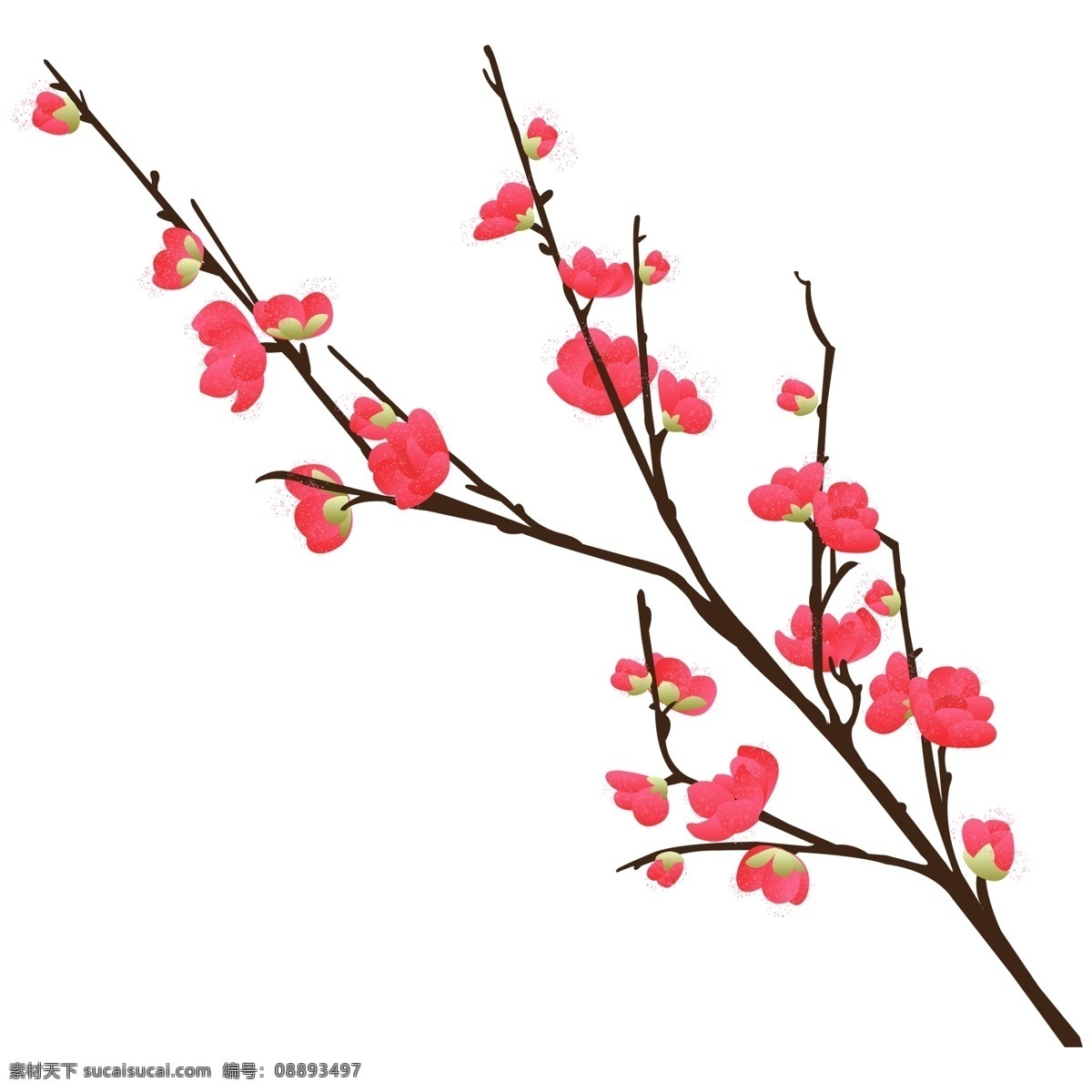 清新 水彩 花枝 卡通 透明 中国风 唯美 装饰图案 透明素材 盛开 免扣素材