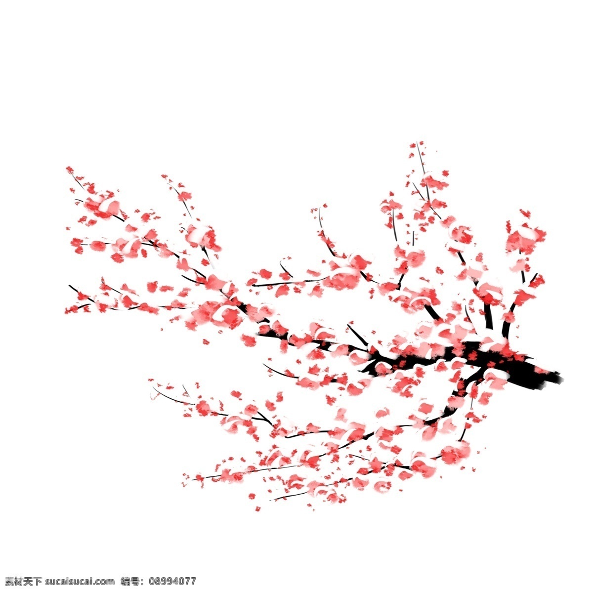 中国 风 手绘 梅花 花枝 古风花枝 冬季梅花 梅花花枝 粉色梅花 花 手绘花朵插画 美丽的花朵 中国风