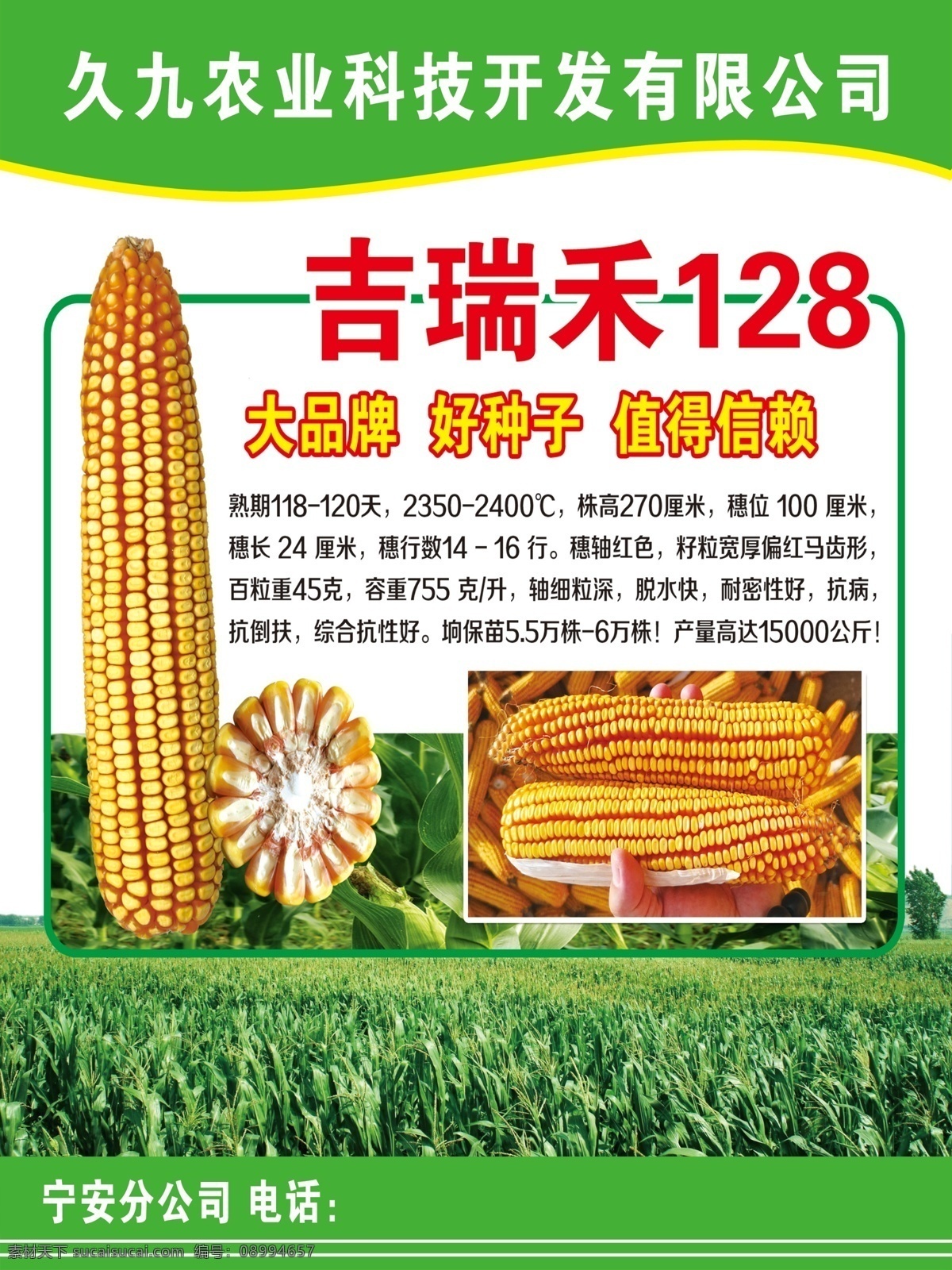吉瑞禾128 玉米宣传 玉米种子海报 玉米 久九农业 分层