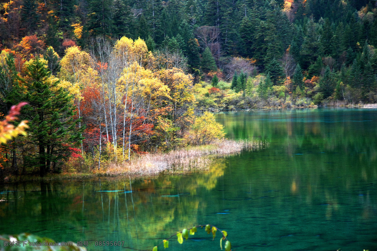 九寨沟山水 九寨沟 初秋 湖水 倒影 树木 红叶 山水风景 自然景观