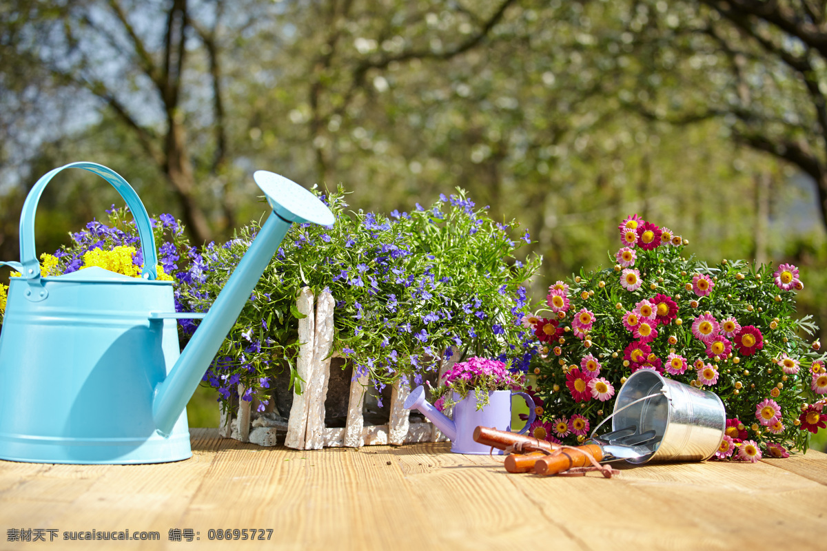 喷壶 鲜花 花朵 花卉植物 花盆 园艺工具 手提桶 园林景观 环境家居