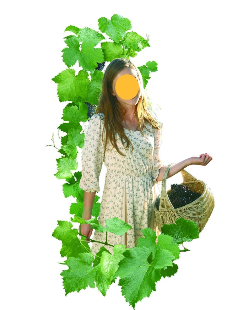 美女 拎蓝 异形贴 写真 树叶 葡萄叶 广告设计模板 源文件