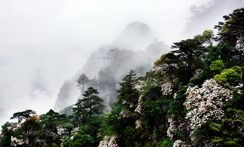 井冈山 风景 杜鹃 红旗 瀑布 生活 旅游餐饮